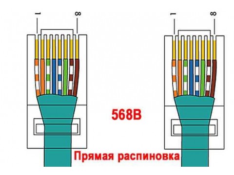 Как обжать витую пару?